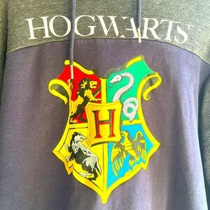 Harry Potter, Hogwarts, Men's Hoodie - Charcoal and Blue